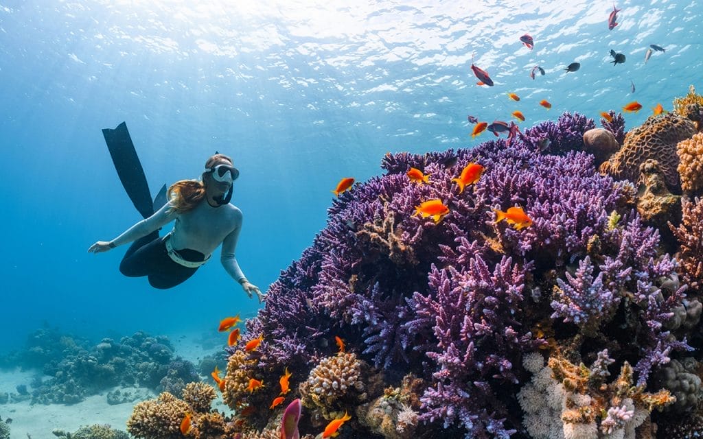 Scuba Diving and Snorkeling Labuan Bajo