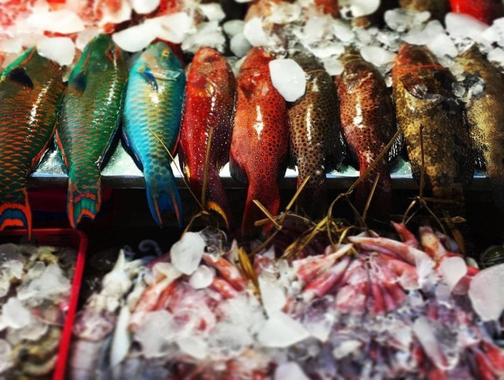 Labuan Bajo Fish Market