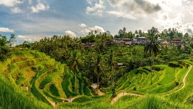 Ubud Travel Guide