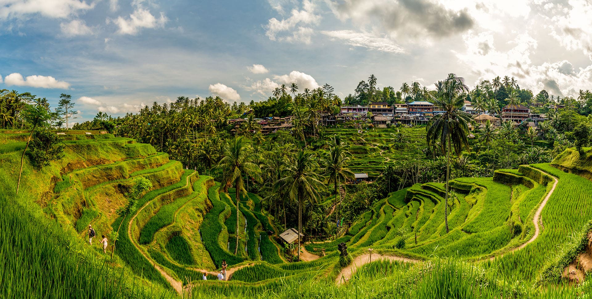 Ubud Travel Guide