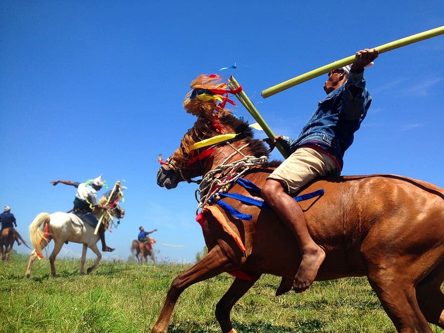 Pasola Festival